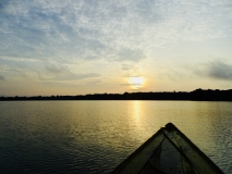 Amazonie