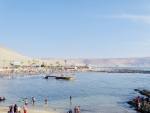 Arica